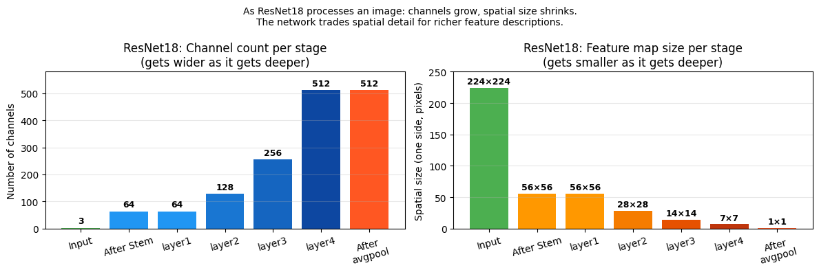 <Figure size 1200x400 with 2 Axes>